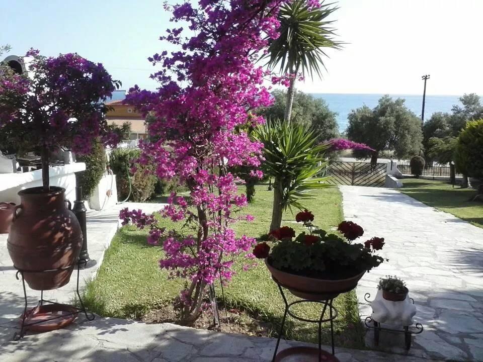 Ferienwohnung Ianos Nea Skioni Zimmer foto